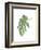 Philodendron 3-Jenny Kraft-Framed Art Print