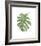 Philodendron I-Jenny Kraft-Framed Giclee Print