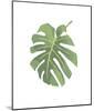 Philodendron I-Jenny Kraft-Mounted Giclee Print