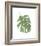 Philodendron II-Jenny Kraft-Framed Giclee Print