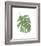 Philodendron II-Jenny Kraft-Framed Giclee Print