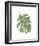 Philodendron II-Jenny Kraft-Framed Giclee Print