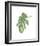 Philodendron III-Jenny Kraft-Framed Giclee Print