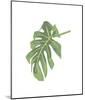 Philodendron III-Jenny Kraft-Mounted Giclee Print