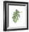 Philodendron III-Jenny Kraft-Framed Giclee Print