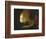Philosophe en méditation-Rembrandt van Rijn-Framed Giclee Print