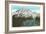 Phlox on Mt. Rainier, Washington-null-Framed Premium Giclee Print