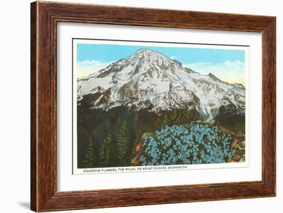 Phlox on Mt. Rainier, Washington-null-Framed Premium Giclee Print