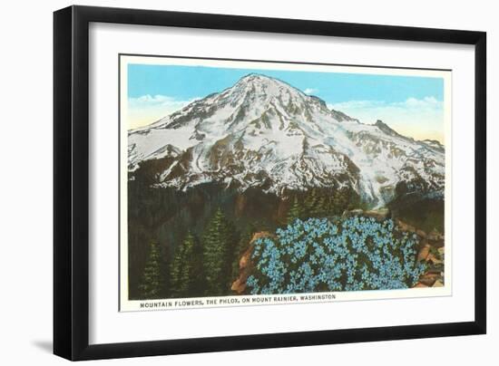 Phlox on Mt. Rainier, Washington-null-Framed Premium Giclee Print