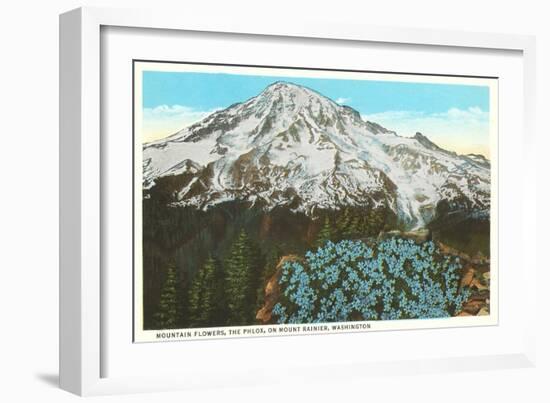 Phlox on Mt. Rainier, Washington-null-Framed Premium Giclee Print