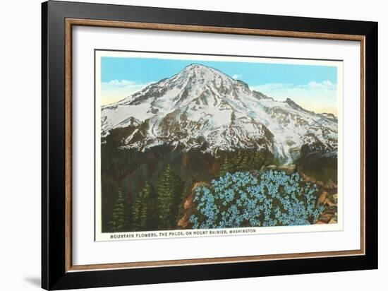 Phlox on Mt. Rainier, Washington-null-Framed Art Print