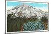 Phlox on Mt. Rainier, Washington-null-Mounted Art Print