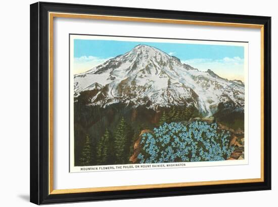 Phlox on Mt. Rainier, Washington-null-Framed Art Print