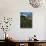Phlox Wildflowers & Mt. Hood-Steve Terrill-Photographic Print displayed on a wall