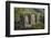 Phnom Krom Temple, Phnom Krom Hill, Near Siem Reap, Cambodia-David Wall-Framed Photographic Print