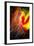 Phoenix 1-Ursula Abresch-Framed Photographic Print