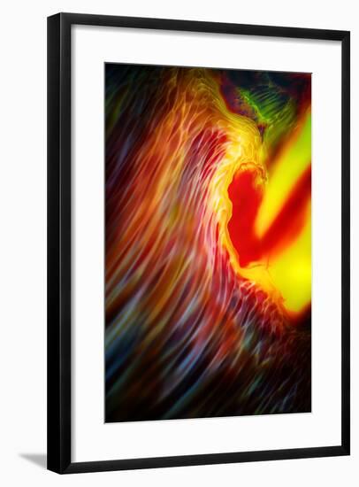 Phoenix 1-Ursula Abresch-Framed Photographic Print