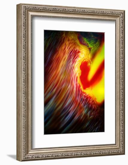 Phoenix 1-Ursula Abresch-Framed Photographic Print