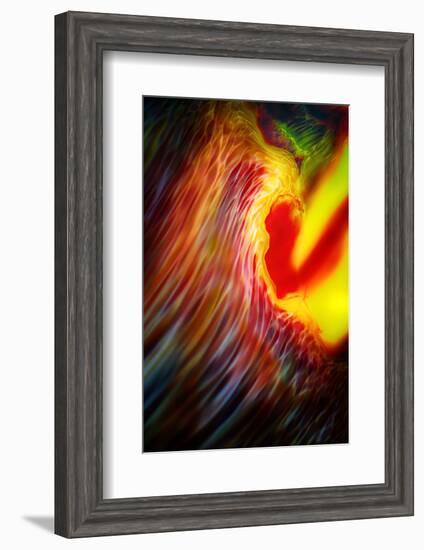 Phoenix 1-Ursula Abresch-Framed Photographic Print