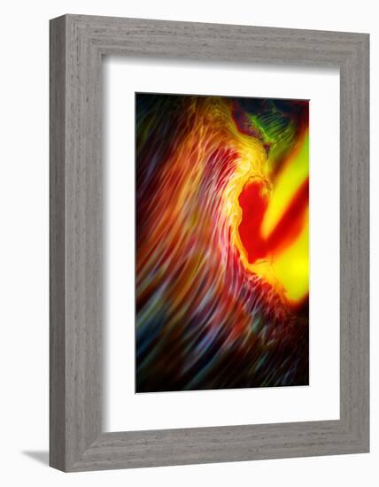 Phoenix 1-Ursula Abresch-Framed Photographic Print