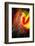 Phoenix 1-Ursula Abresch-Framed Photographic Print