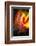 Phoenix 1-Ursula Abresch-Framed Photographic Print