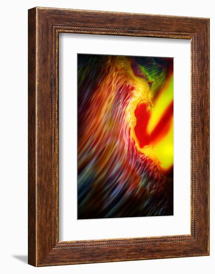 Phoenix 1-Ursula Abresch-Framed Photographic Print