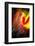 Phoenix 1-Ursula Abresch-Framed Photographic Print