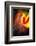 Phoenix 1-Ursula Abresch-Framed Photographic Print