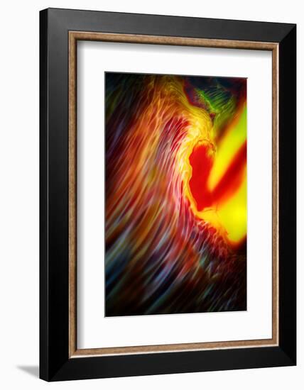 Phoenix 1-Ursula Abresch-Framed Photographic Print