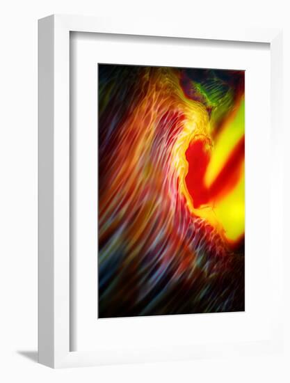 Phoenix 1-Ursula Abresch-Framed Photographic Print