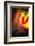 Phoenix 1-Ursula Abresch-Framed Photographic Print