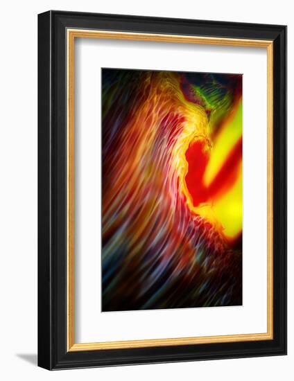 Phoenix 1-Ursula Abresch-Framed Photographic Print