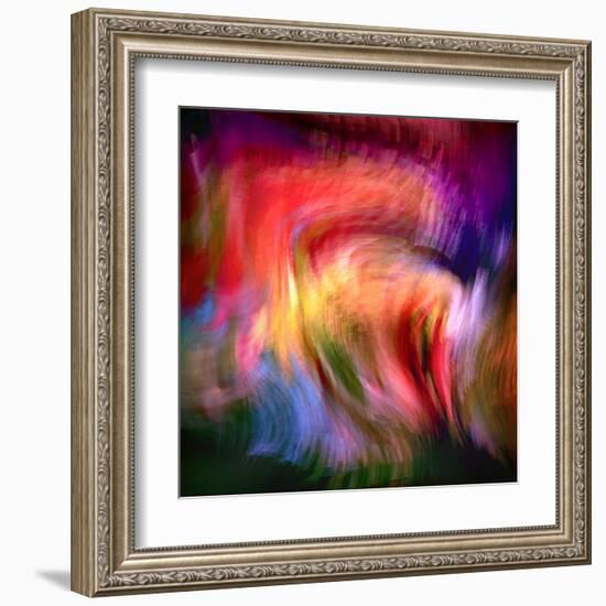 Phoenix 2-Ursula Abresch-Framed Premium Photographic Print