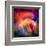 Phoenix 2-Ursula Abresch-Framed Premium Photographic Print