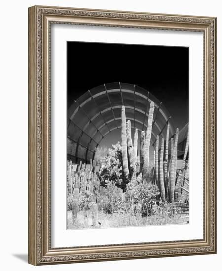 Phoenix Botanical Gardens, Arizona,USA-Anna Miller-Framed Photographic Print