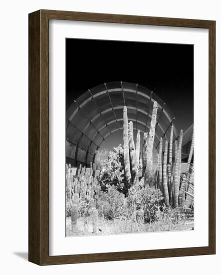 Phoenix Botanical Gardens, Arizona,USA-Anna Miller-Framed Photographic Print