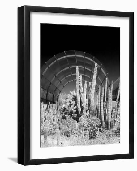 Phoenix Botanical Gardens, Arizona,USA-Anna Miller-Framed Photographic Print