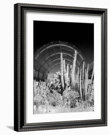 Phoenix Botanical Gardens, Arizona,USA-Anna Miller-Framed Photographic Print
