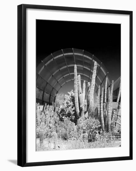 Phoenix Botanical Gardens, Arizona,USA-Anna Miller-Framed Photographic Print