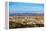 Phoenix Cityscape-duallogic-Framed Premier Image Canvas