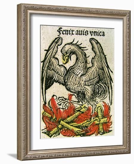 Phoenix Published in the Nuremberg Chronicle, 1493-null-Framed Giclee Print