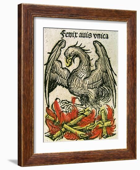 Phoenix Published in the Nuremberg Chronicle, 1493-null-Framed Giclee Print