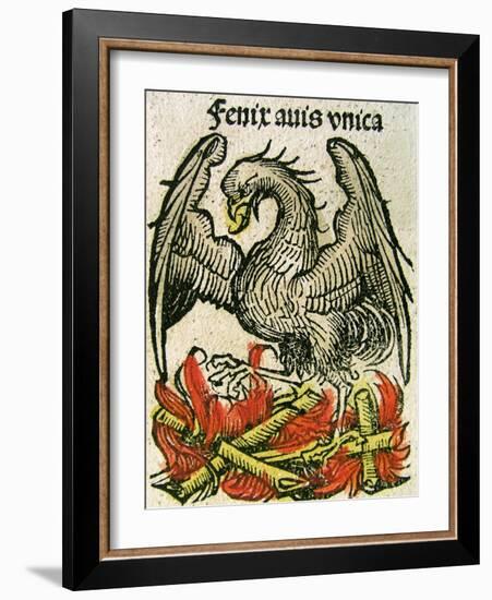 Phoenix Published in the Nuremberg Chronicle, 1493-null-Framed Giclee Print