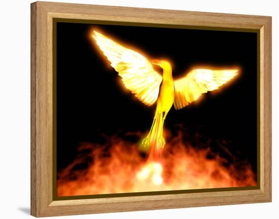 Phoenix-Christian Darkin-Framed Premier Image Canvas