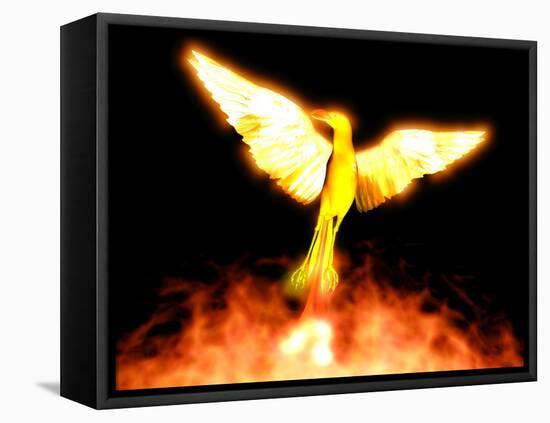 Phoenix-Christian Darkin-Framed Premier Image Canvas