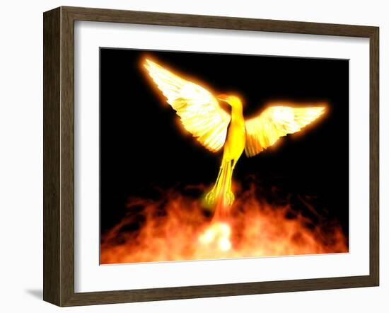 Phoenix-Christian Darkin-Framed Photographic Print