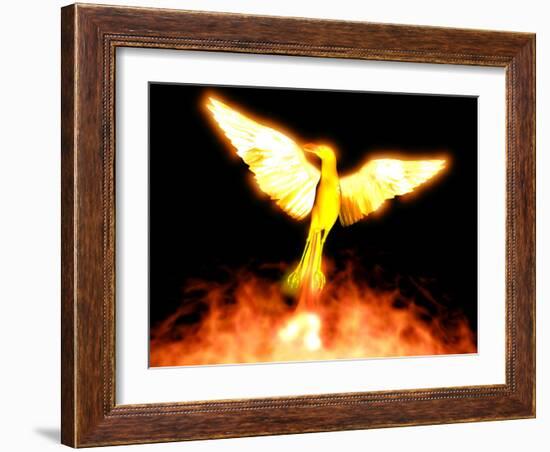 Phoenix-Christian Darkin-Framed Photographic Print