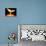 Phoenix-Christian Darkin-Mounted Photographic Print displayed on a wall