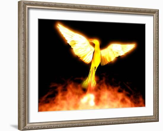 Phoenix-Christian Darkin-Framed Photographic Print